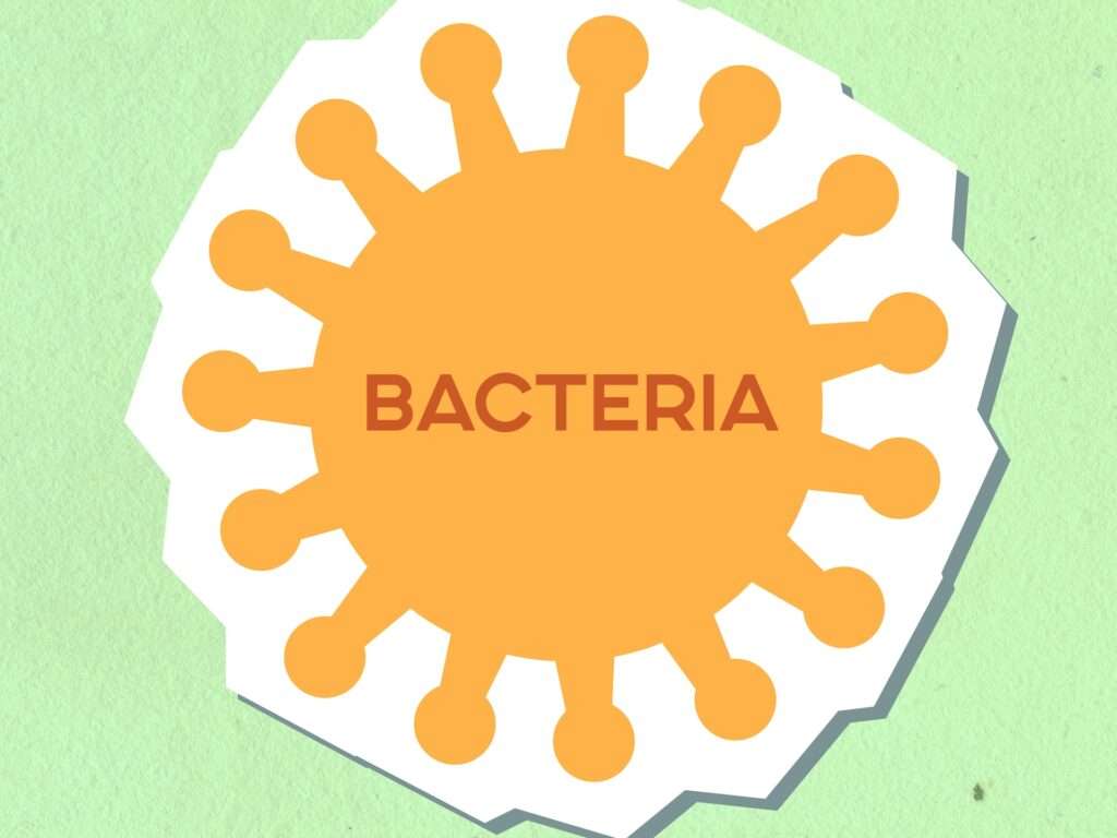 grafika przedstawiająca żółtą bakterię na zielonym tle, z napisem w środku "bacteria", w nawiązaniu do tematu wpisu "czy bakterie powodują endometriozę"